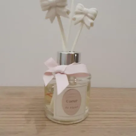 Privee Avec Terrasse Et Jardin Appartement Calvisson