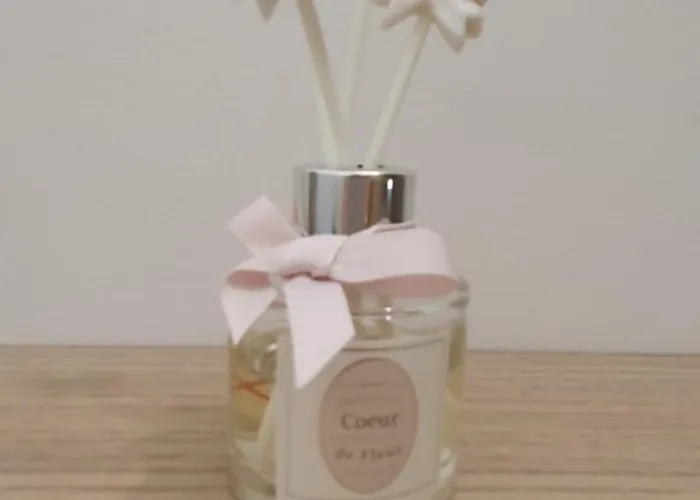 Privee Avec Terrasse Et Jardin Appartement Calvisson